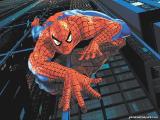comic MARVspiderman wall